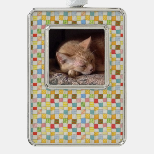 PET LOVE Framed Vertical Ornament / Quilt (Front)
