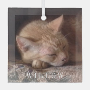 PET LOVE Glass Square Ornament 