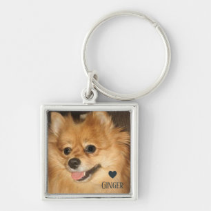 Pet Love Key Chain