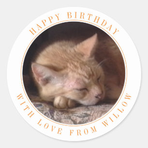 PET LOVE Large Round Birthday Stickers