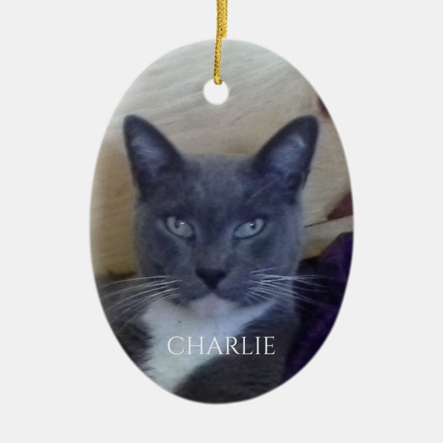 PET LOVE Oval Ceramic Ornament  (Front)