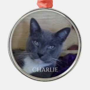 PET LOVE Premium Round Ornament