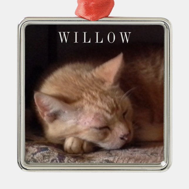 PET LOVE Premium Square Ornament  (Front)