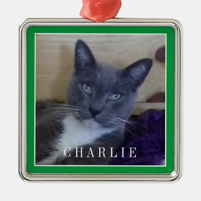 PET LOVE Premium Square Ornament / Green (Front)