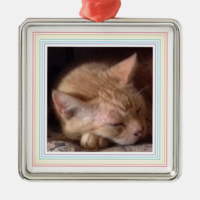 PET LOVE Premium Square Ornament / Rainbow (Front)