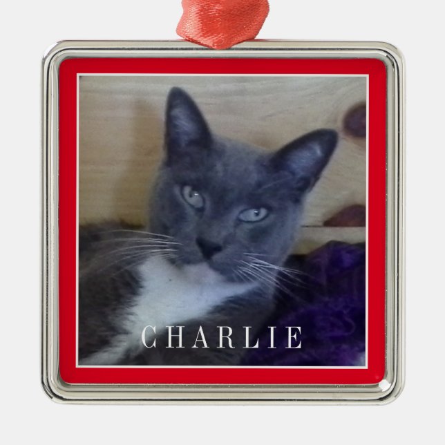 PET LOVE Premium Square Ornament - Red (Front)