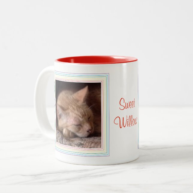 PET LOVE Red Two-Tone Mug + Text / Rainbow (Front Left)