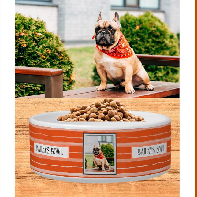 Pet Lovers Orange Stripes Photo Name     Bowl (Creator Uploaded)