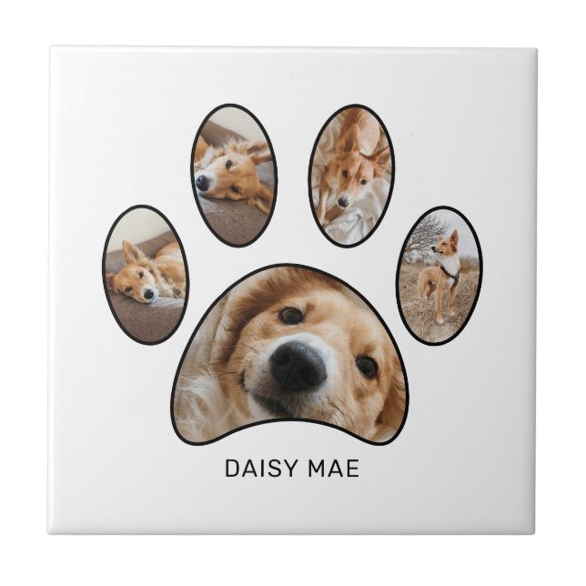 Pet Lovers Paw Print Photo Collage Personalised Tile (Front)