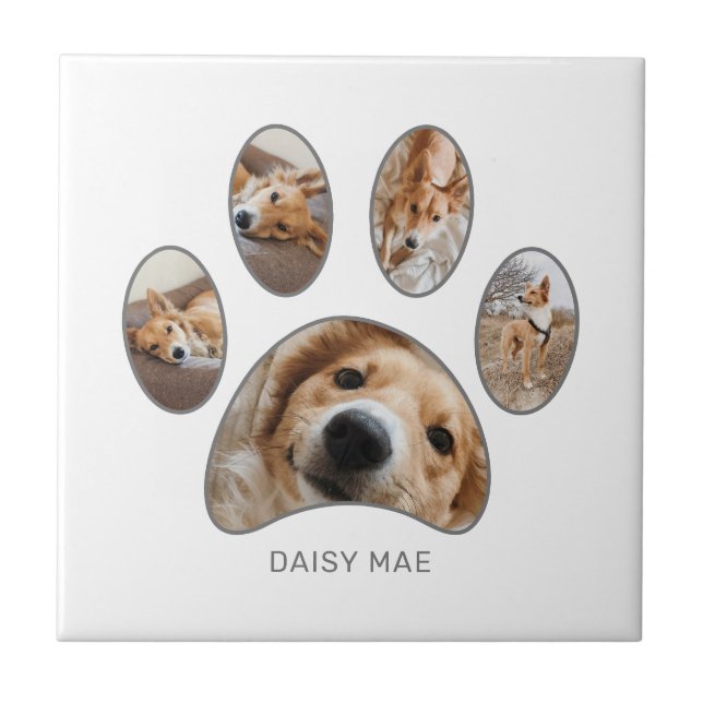 Pet Lovers Silver Paw Print Photo Collage Custom Tile (Front)
