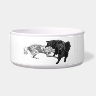 Pet Meal, Shaded Joy