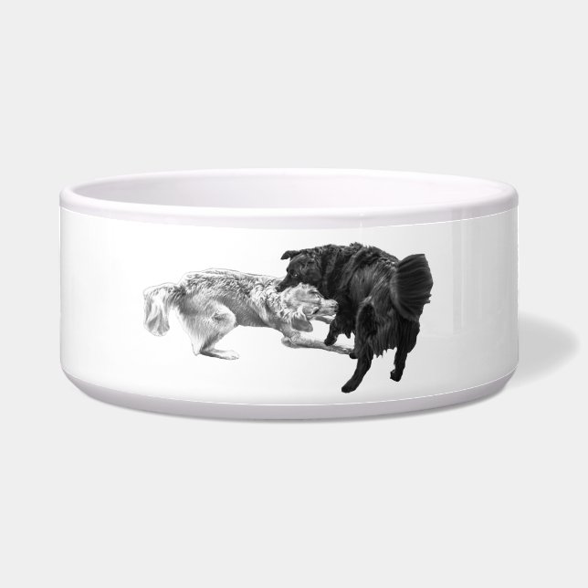 Pet Meal, Shaded Joy (Front)
