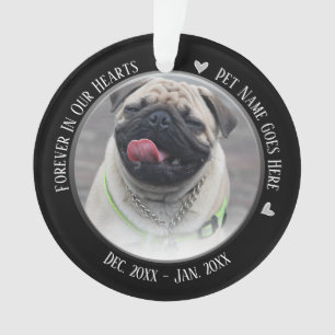Pet Memorial 2 Photo Forever in Our Hearts Ornament