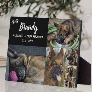 Pet Memorial 5 Photo Remembrance Plaque