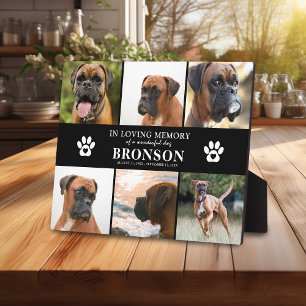 Pet Memorial 6 x Photo In Loving Memory Plaque