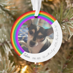 Pet Memorial Acrylic Ornament
