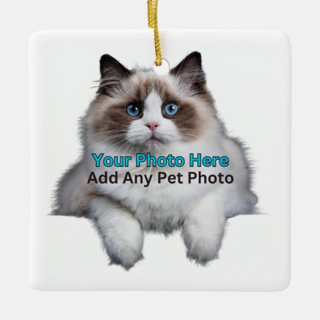 Pet Memorial/ Add Photo and Personalise Ceramic Ornament (Front)