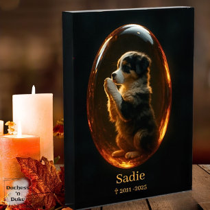 Pet Memorial Australian Shepherd Amber Art Print