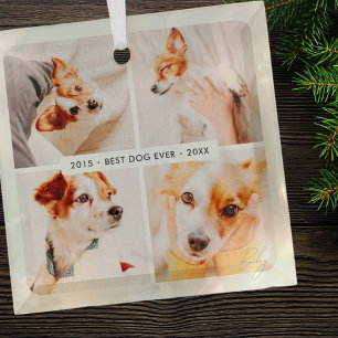Pet Memorial Best Dog Ever Modern Photo Collage Glass Tree Decoration