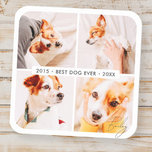 Pet Memorial Best Dog Ever Modern Photo Collage Square Sticker