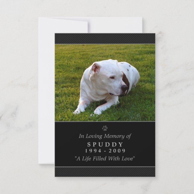 Pet Memorial Card 3.5"x5" Black Modern Photo (Front)