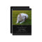 Pet Memorial Card 3.5"x5" Black Modern Photo