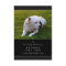 Pet Memorial Card 3.5"x5" Black Modern Photo