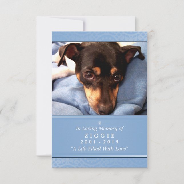Pet Memorial Card 3.5 x 5 Blue - Don't Grieve Poem (Front)