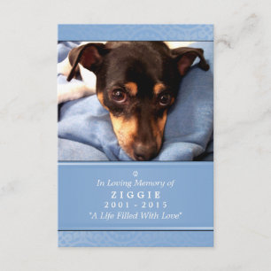 Pet Memorial Card 3.5 x 5 Blue God Saw You Poem