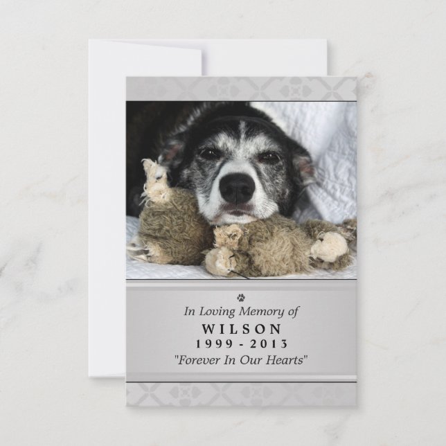 Pet Memorial Card 3.5" x 5" - Grey Modern Photo (Front)