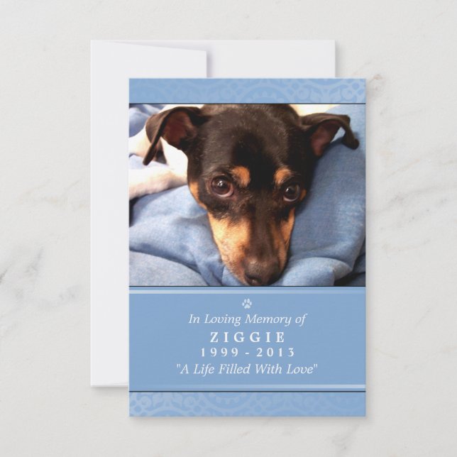 Pet Memorial Card 3.5" x 5" - Light Blue Photo (Front)