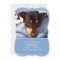 Pet Memorial Card 3.5" x 5" - Light Blue Photo