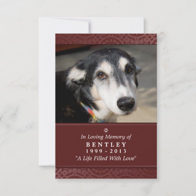 Pet Memorial Card 3.5 x 5" Maroon - Contented Poem (Front)
