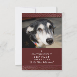 Pet Memorial Card 3.5 x 5 Maroon God Saw You Poem