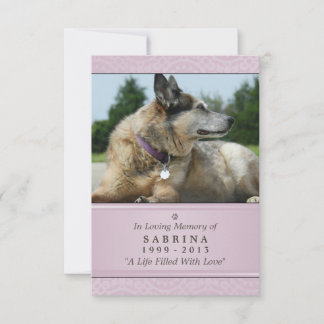 Pet Memorial Card 3.5" x 5" - Pink Modern Photo