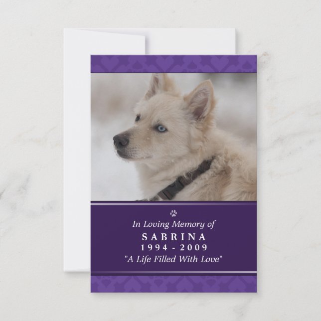 Pet Memorial Card 3.5" x 5" - Purple Photo Modern (Front)