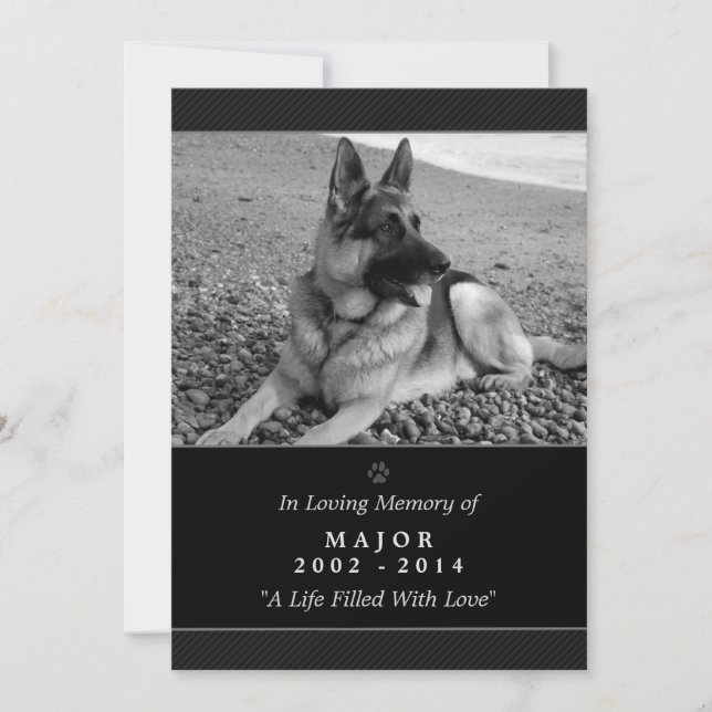 Pet Memorial Card 5"x7" Black Modern - Male Pet (Front)
