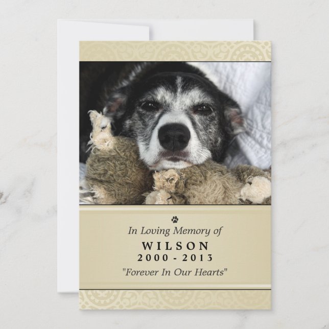 Pet Memorial Card 5"x7" Creme Modern - Male Pet (Front)