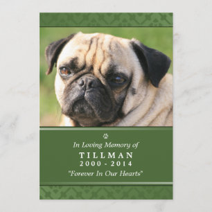 Pet Memorial Card 5"x7" Green Photo - Male Pet
