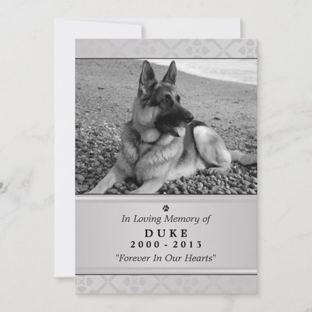 Pet Memorial Card 5"x7" Grey Modern Photo (Front)