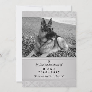 Pet Memorial Card 5"x7" Grey Modern Photo