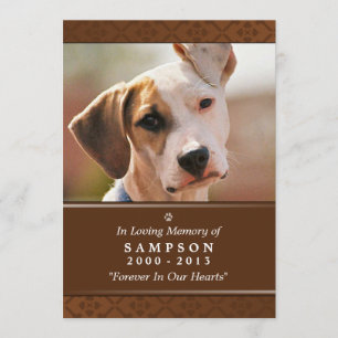 Pet Memorial Card 5"x7" Medium Brown Photo