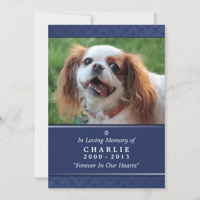 Pet Memorial Card 5"x7" Navy Blue Photo (Front)