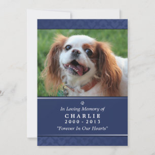 Pet Memorial Card 5"x7" Navy Blue Photo