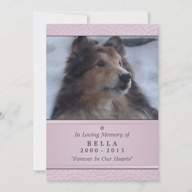 Pet Memorial Card 5"x7" Pink Modern - Female Pet (Front)