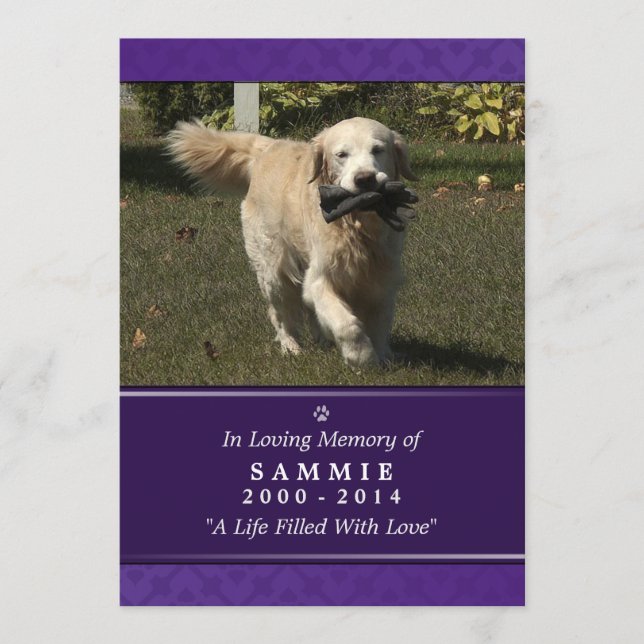 Pet Memorial Card 5"x7" Purple Photo - Male Pet (Front)