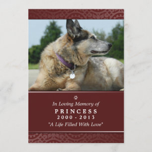 Pet Memorial Card 5"x7" Rainbow Bridge (Female)