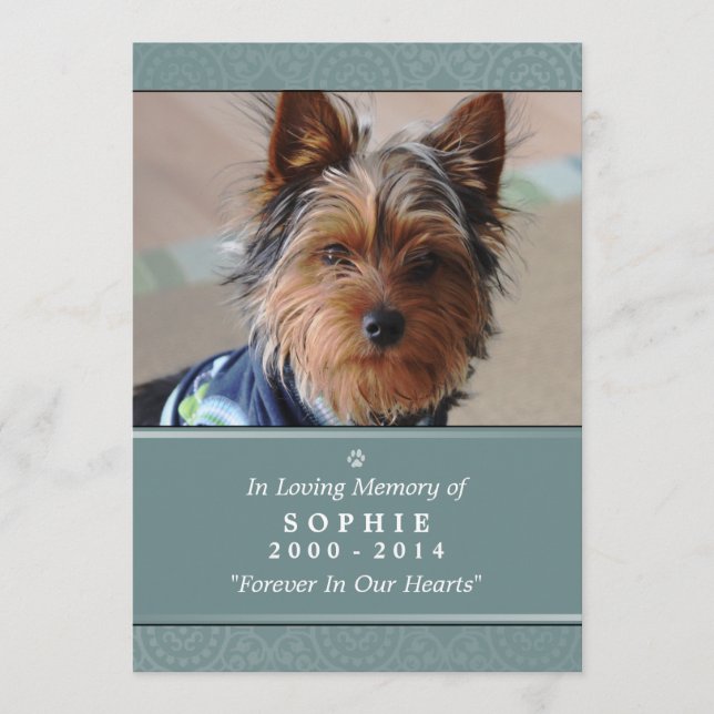 Pet Memorial Card 5"x7" Teal Rainbow Bridge FEMALE (Front)
