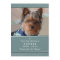 Pet Memorial Card 5x7 Teal Prayer for Pets