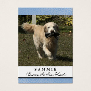 Pet Memorial Card Light Blue God's Garden Poem